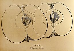 C. Matthiesens illustration af Pederstrup Reinet